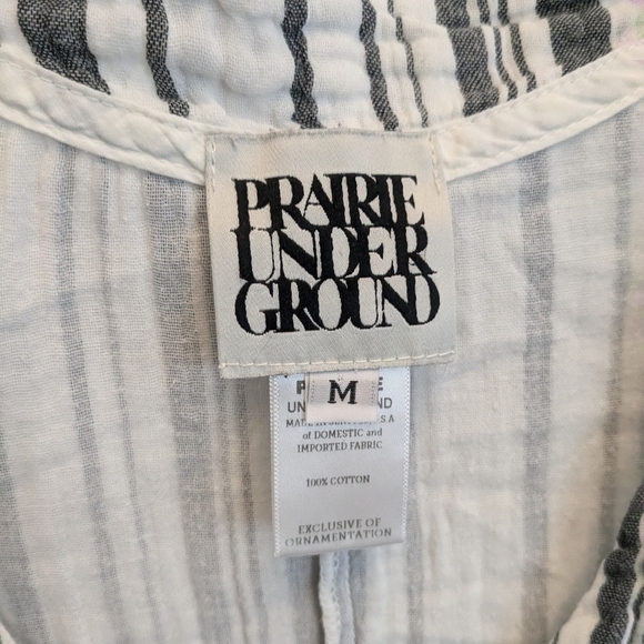 Prairie Underground Striped Tunic Mini Dress - Picture 2 of 4